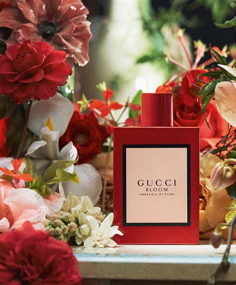 gucci bloom ambrosia di fiori vs gucci bloom|gucci bloom ambrosia perfume review.